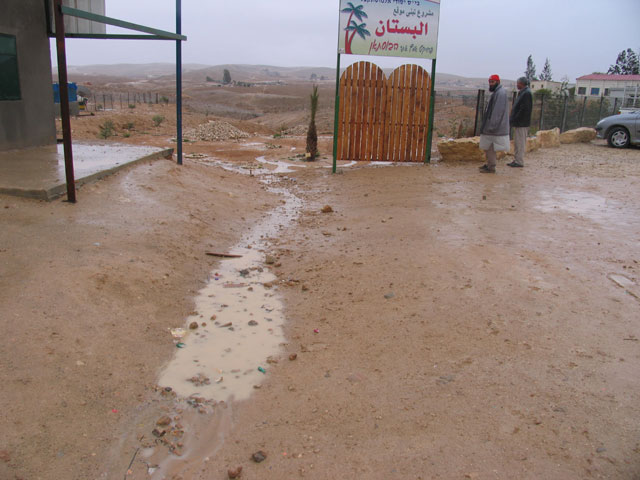 Small garden (Bustan) based on rain water harvesting at El Mustaqbal, a Bedouin School near Beer Sheva - Click for more images