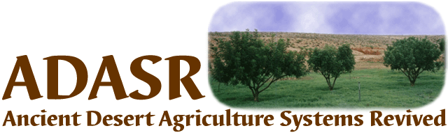 ADASR - Ancient Desert Agriculture Systems Revived - click for slide show