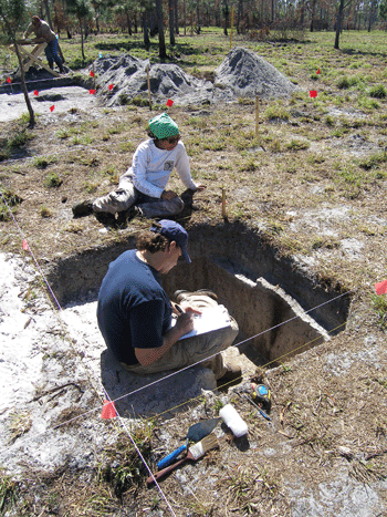 Florida Archaeology