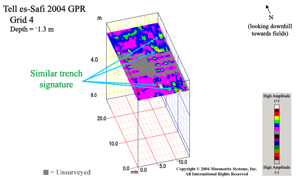 Tell es-Safi GPR Grid 4